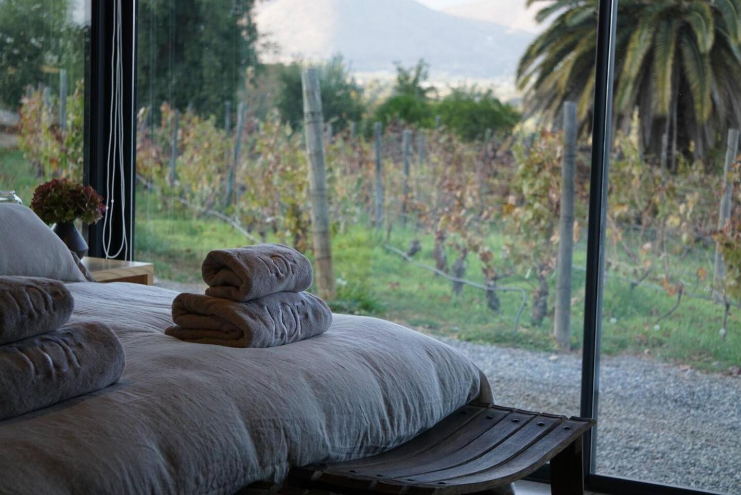 Vina Lof - Maipo Valley Bed & Breakfast In Winery Paine 外观 照片
