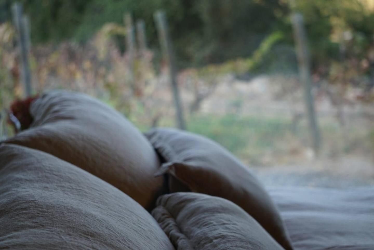 Vina Lof - Maipo Valley Bed & Breakfast In Winery Paine 外观 照片