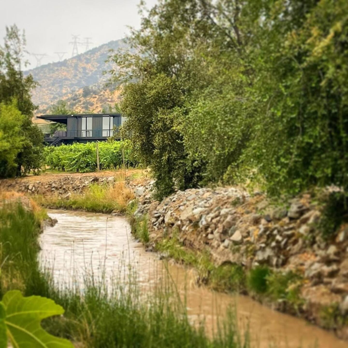 Vina Lof - Maipo Valley Bed & Breakfast In Winery Paine 外观 照片