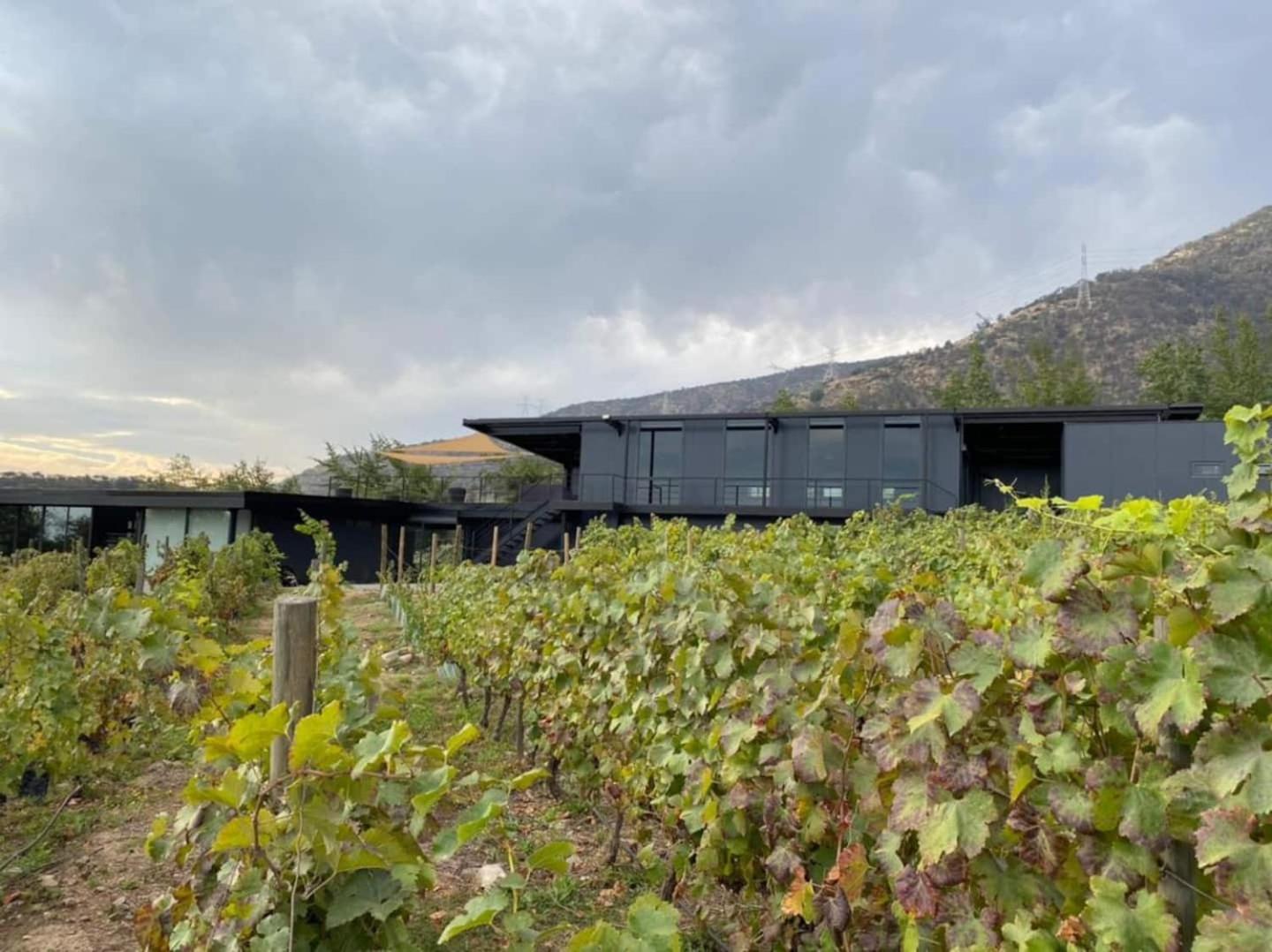 Vina Lof - Maipo Valley Bed & Breakfast In Winery Paine 外观 照片