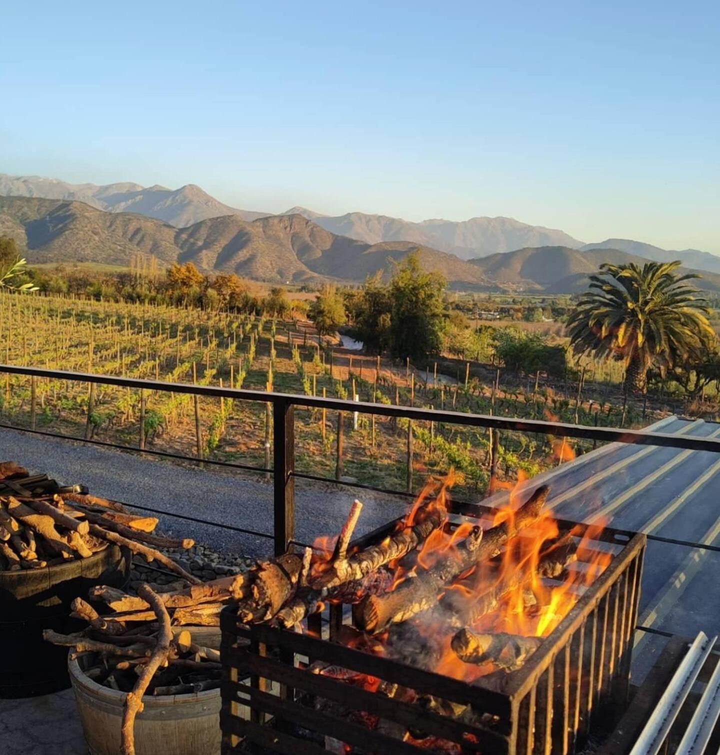 Vina Lof - Maipo Valley Bed & Breakfast In Winery Paine 外观 照片