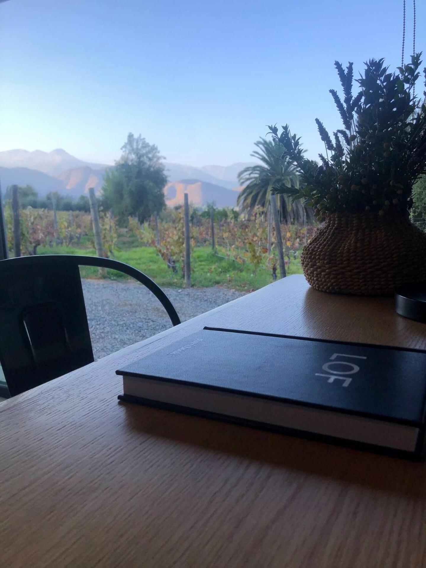Vina Lof - Maipo Valley Bed & Breakfast In Winery Paine 外观 照片