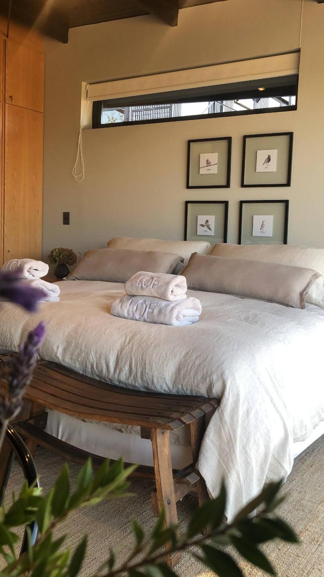 Vina Lof - Maipo Valley Bed & Breakfast In Winery Paine 外观 照片