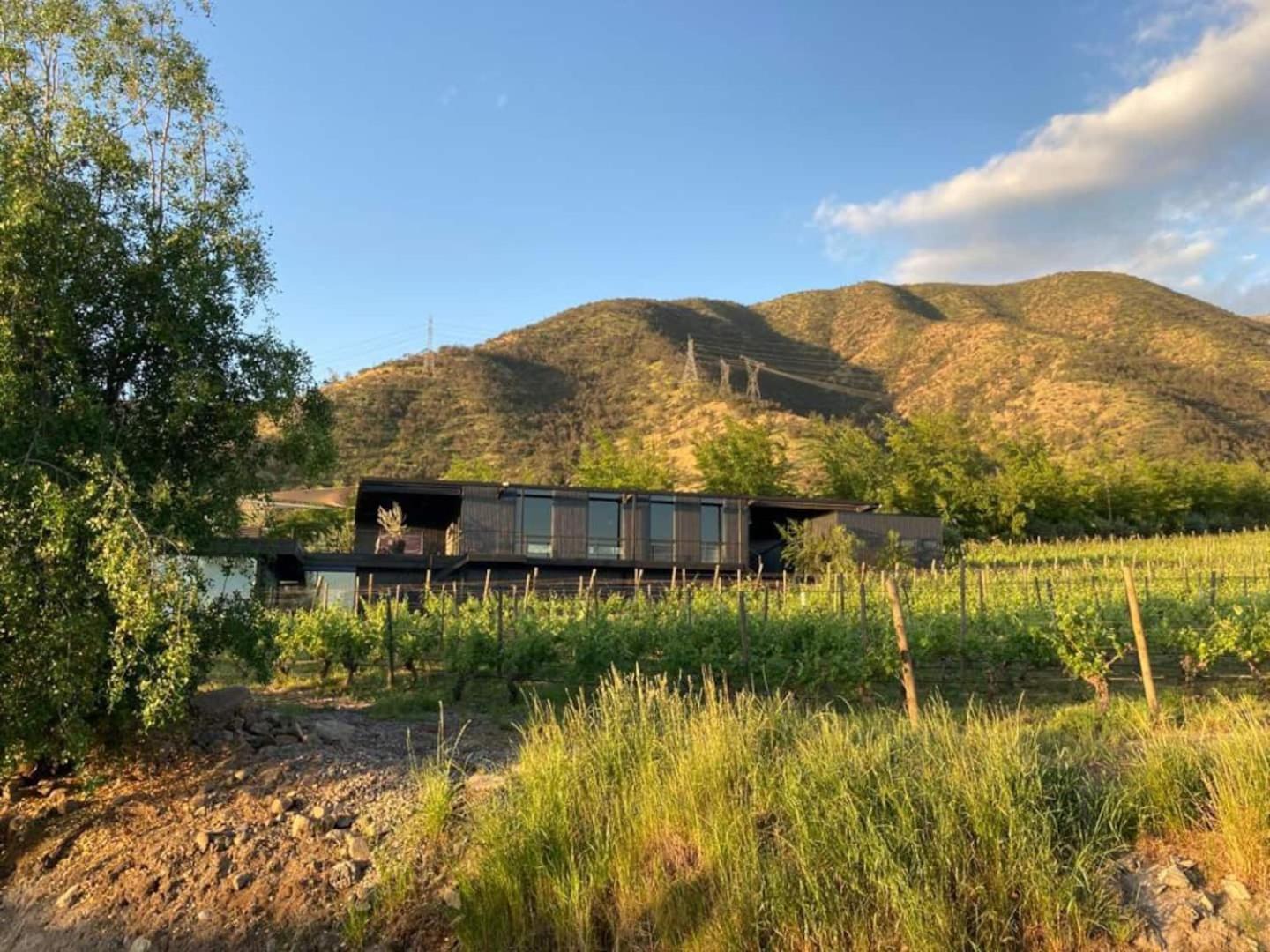 Vina Lof - Maipo Valley Bed & Breakfast In Winery Paine 外观 照片